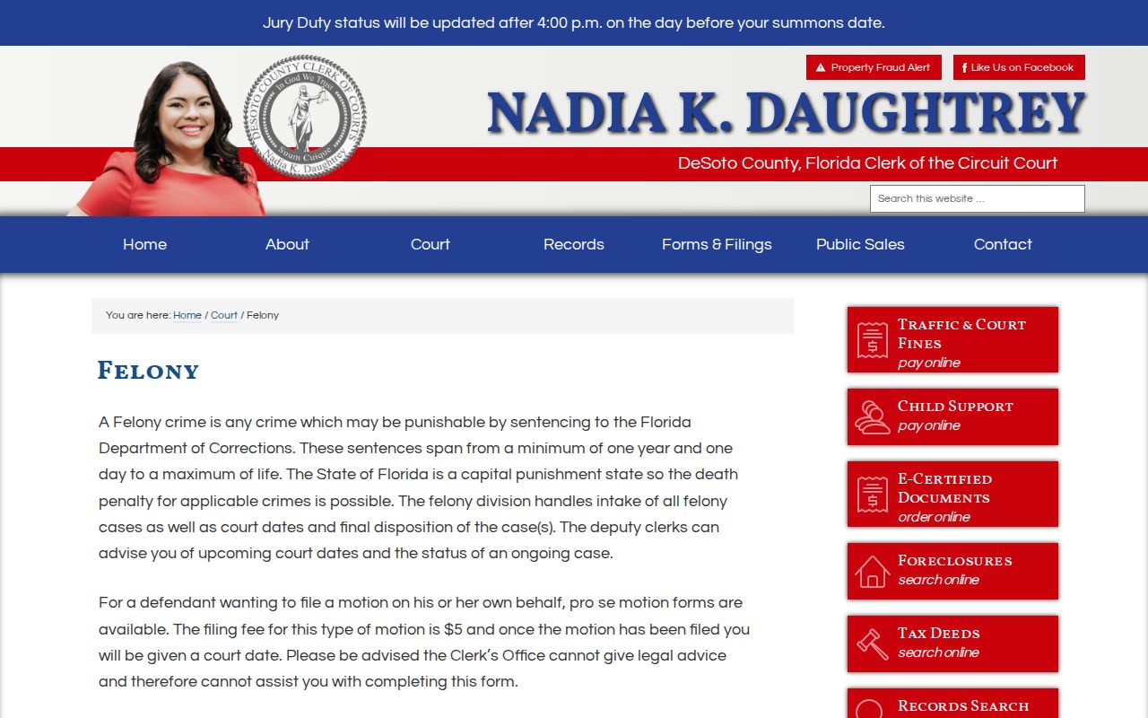 DeSoto County criminal court cases felony Clerk division
